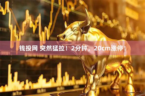 钱投网 突然猛拉！2分钟，20cm涨停！