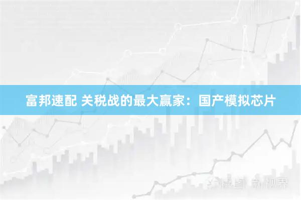 富邦速配 关税战的最大赢家：国产模拟芯片