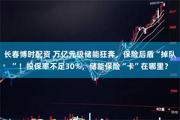 长春博时配资 万亿元级储能狂奔,保险后盾“掉队”!投保率不足30%,储能保险“卡”在哪里?