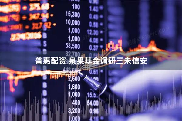 普惠配资 泉果基金调研三未信安
