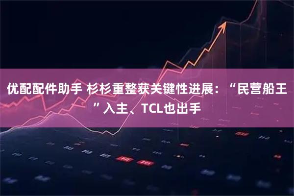 优配配件助手 杉杉重整获关键性进展：“民营船王”入主、TCL也出手