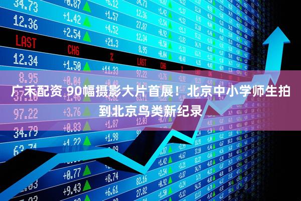 广禾配资 90幅摄影大片首展!北京中小学师生拍到北京鸟类新纪录